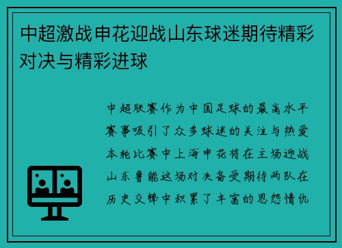 中超激战申花迎战山东球迷期待精彩对决与精彩进球